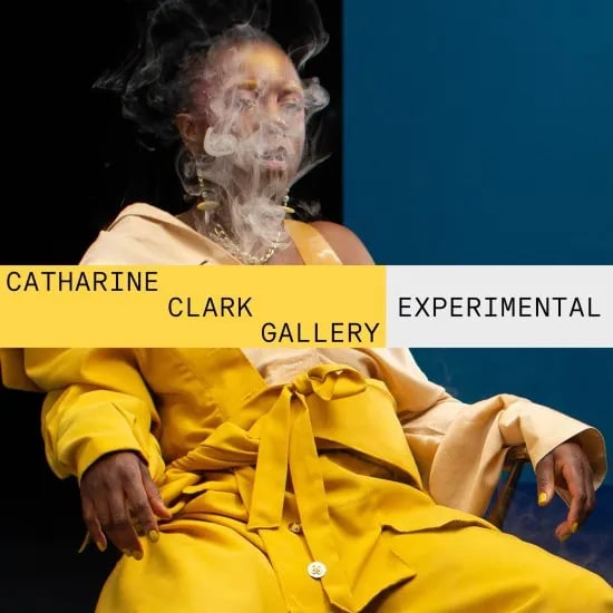 SFDFF: Experimental 1