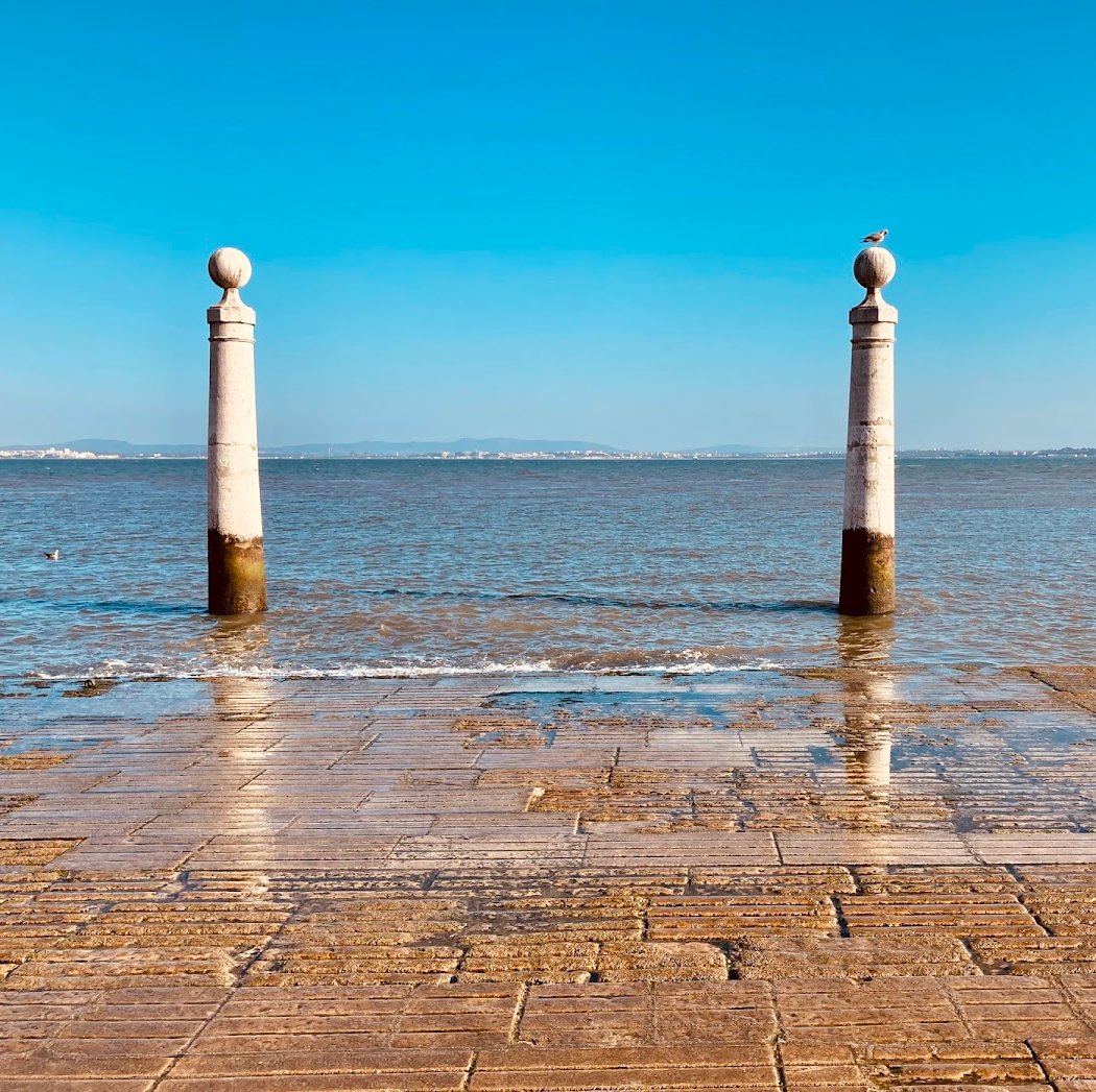 Dia da Marinha do Tejo 3