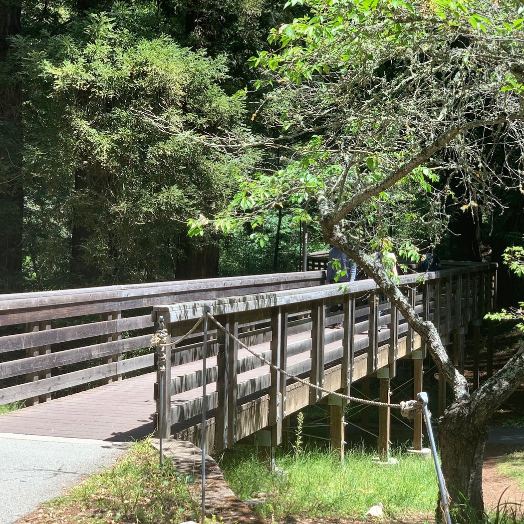 University of California, Santa Cruz 3