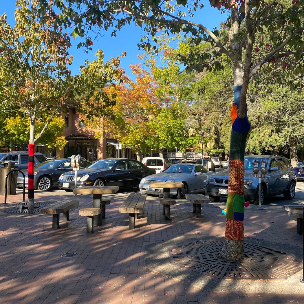 Mill Valley Arts Commission’s special 125th Anniversary Showcase / Concerts in the Plaza 4