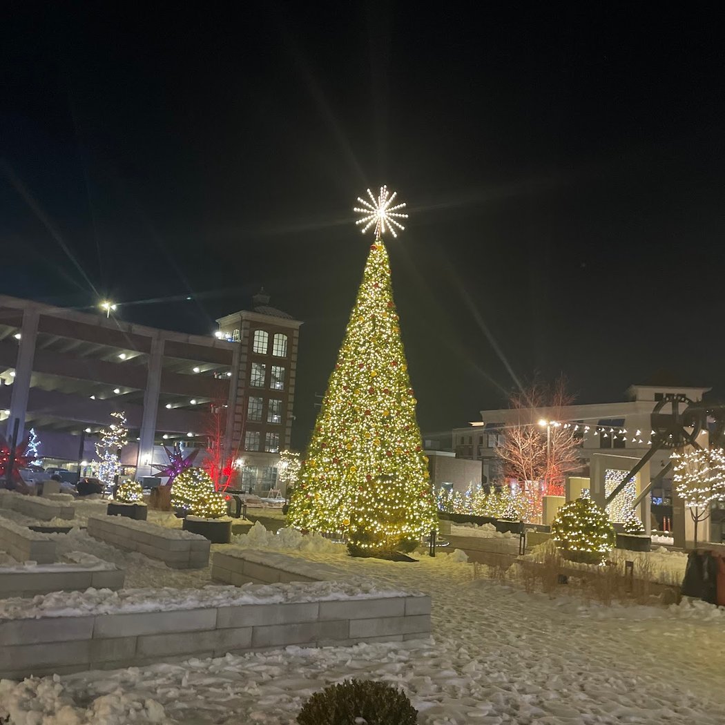Holiday Lights Display 1