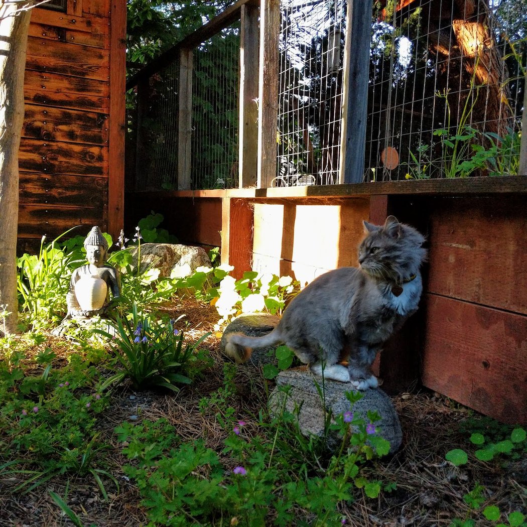 Berkeley Zen Center 1