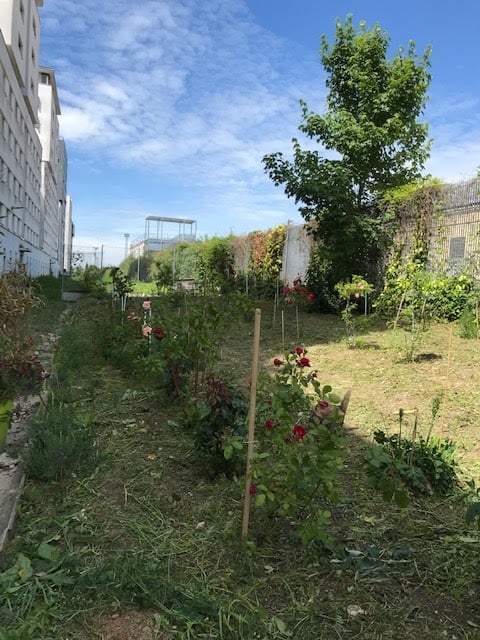 La Friche Malesherbes 2