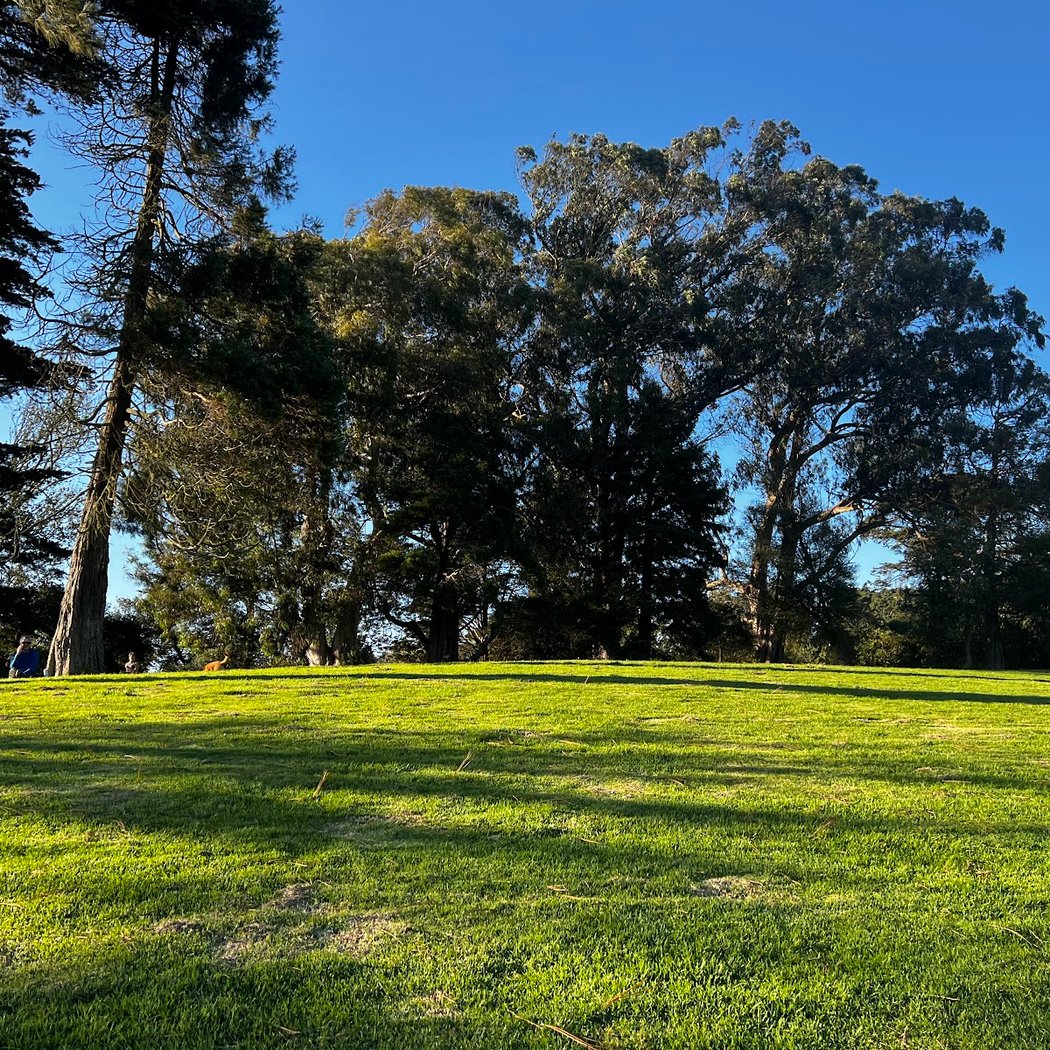 Hippie Hill 3