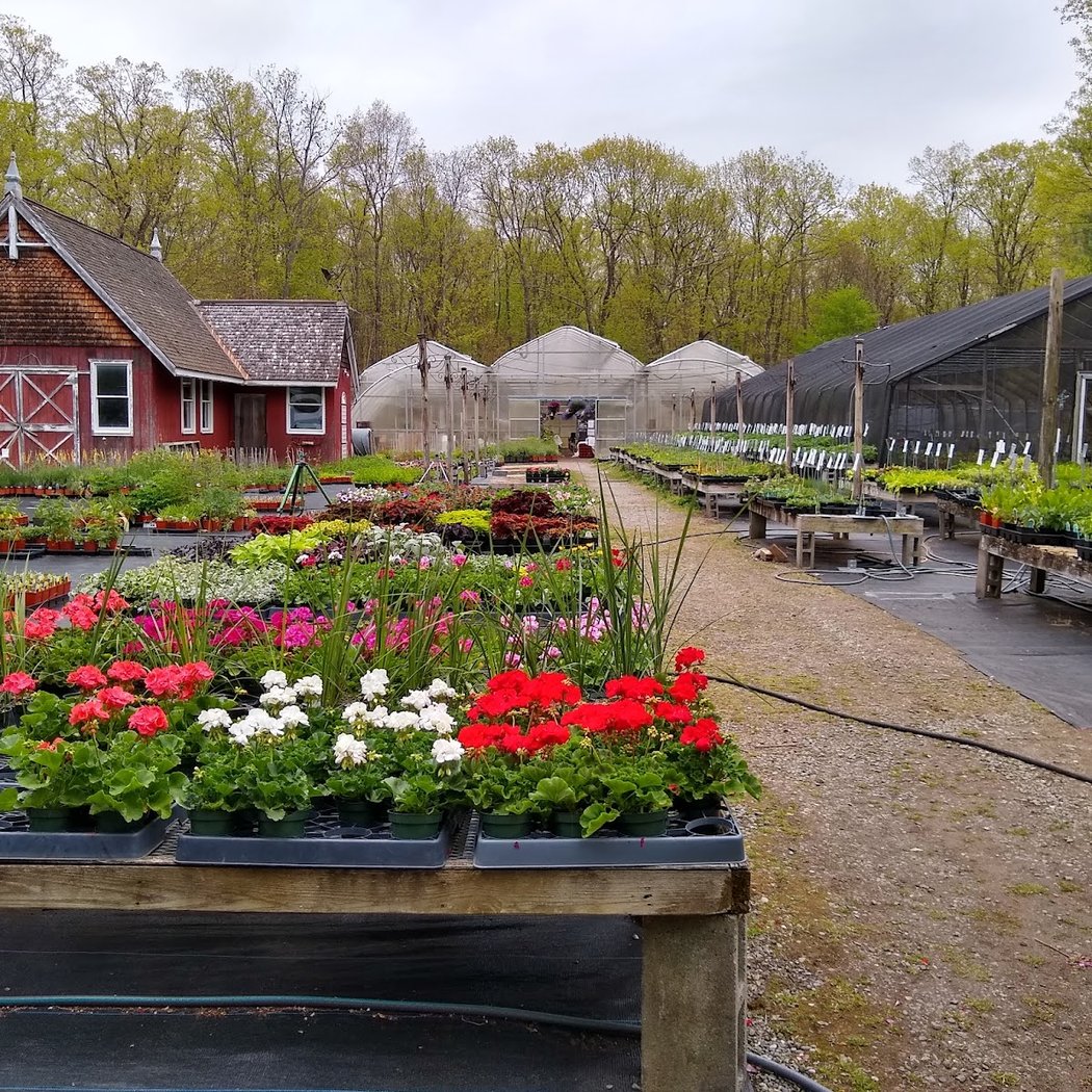 Northern Dutchess Botanical Gardens 2