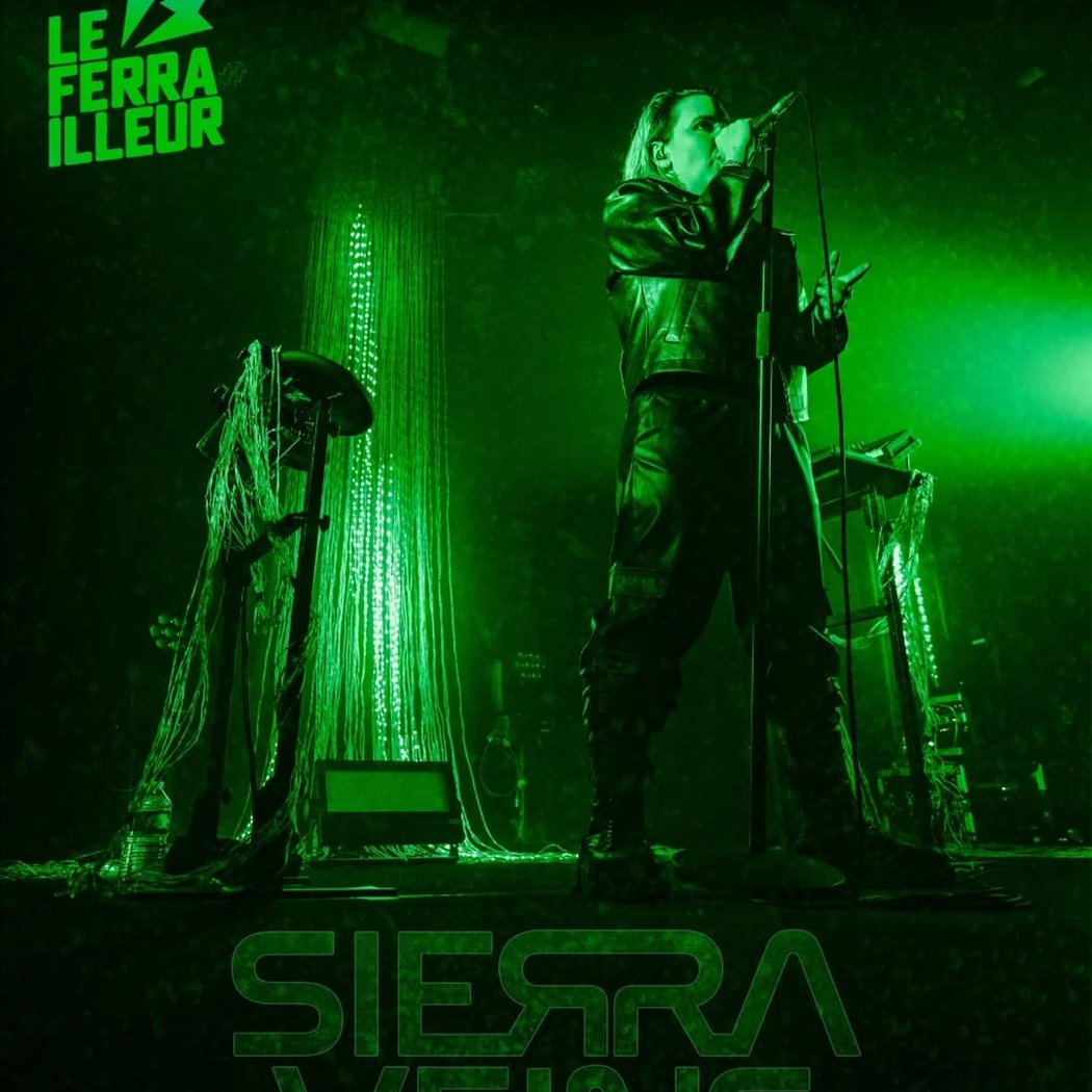 Sierra Veins concert 1