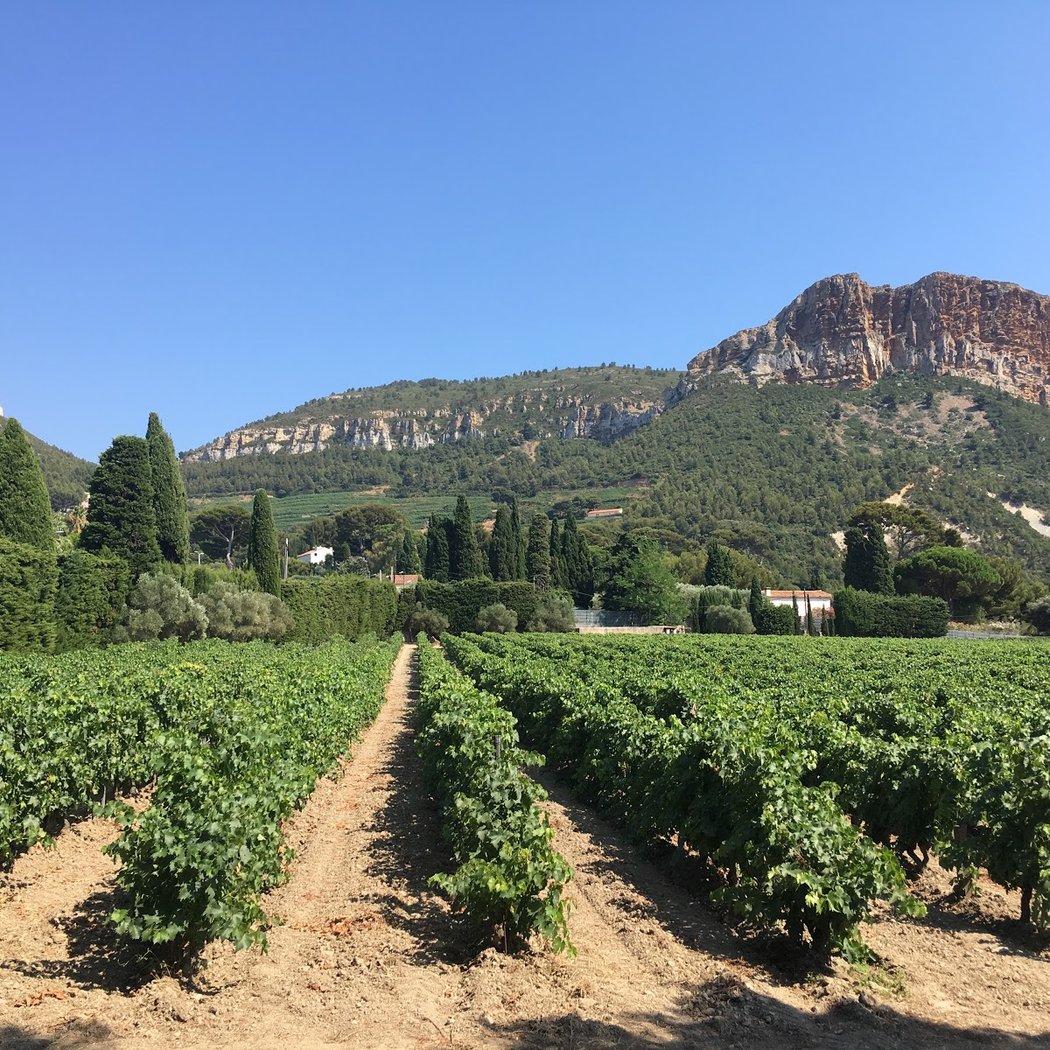 Provence Wine Tours 2