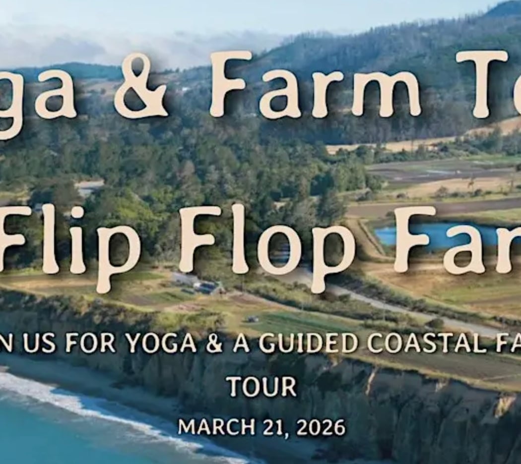 Flip Flop Farms 1