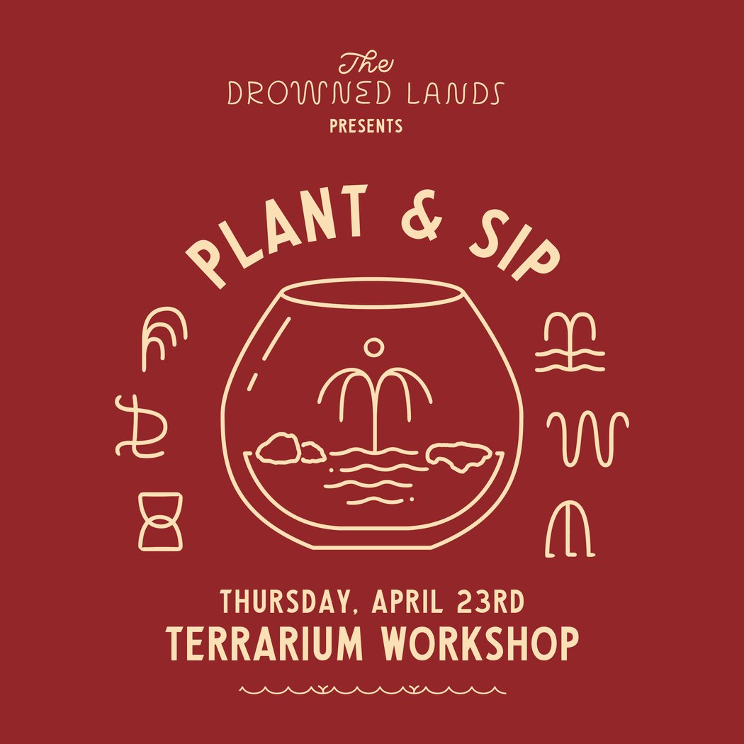 Plant & Sip (Terrarium Workshop) 1