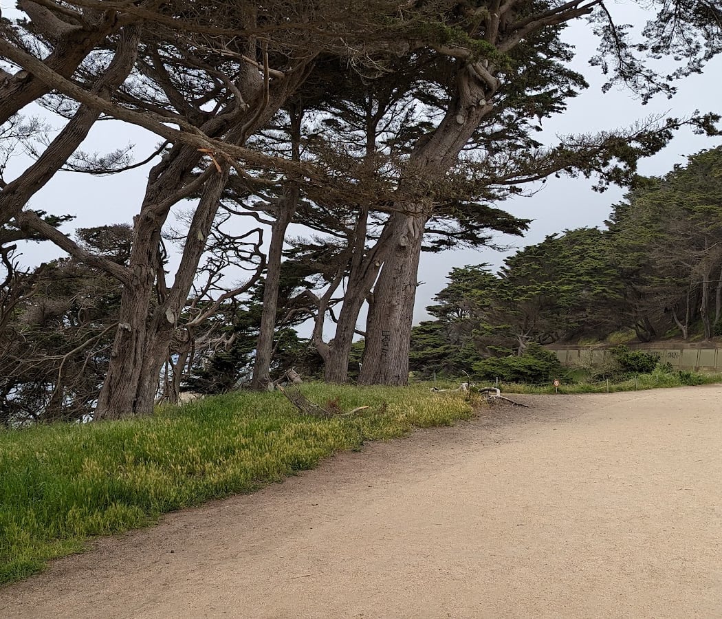 Coastal Trail 3
