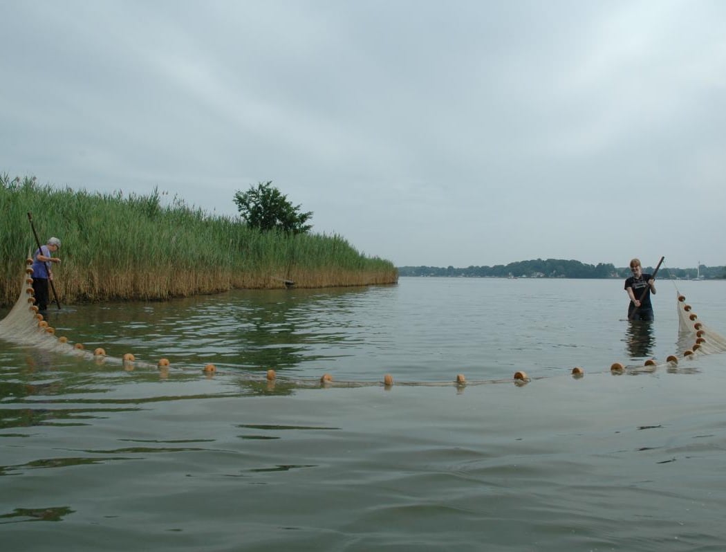 Summer Fish Survey 2