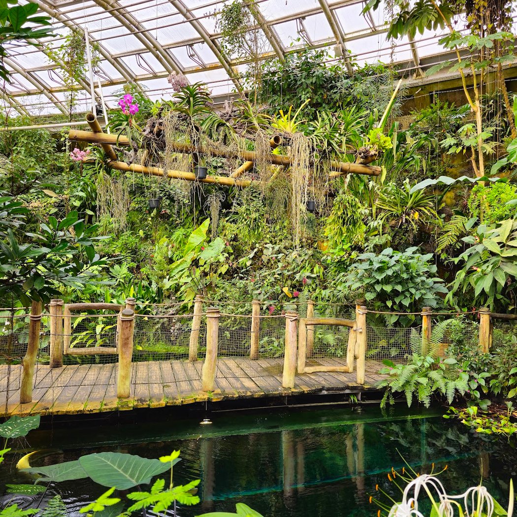 A Botanical Odyssey Exhibition
