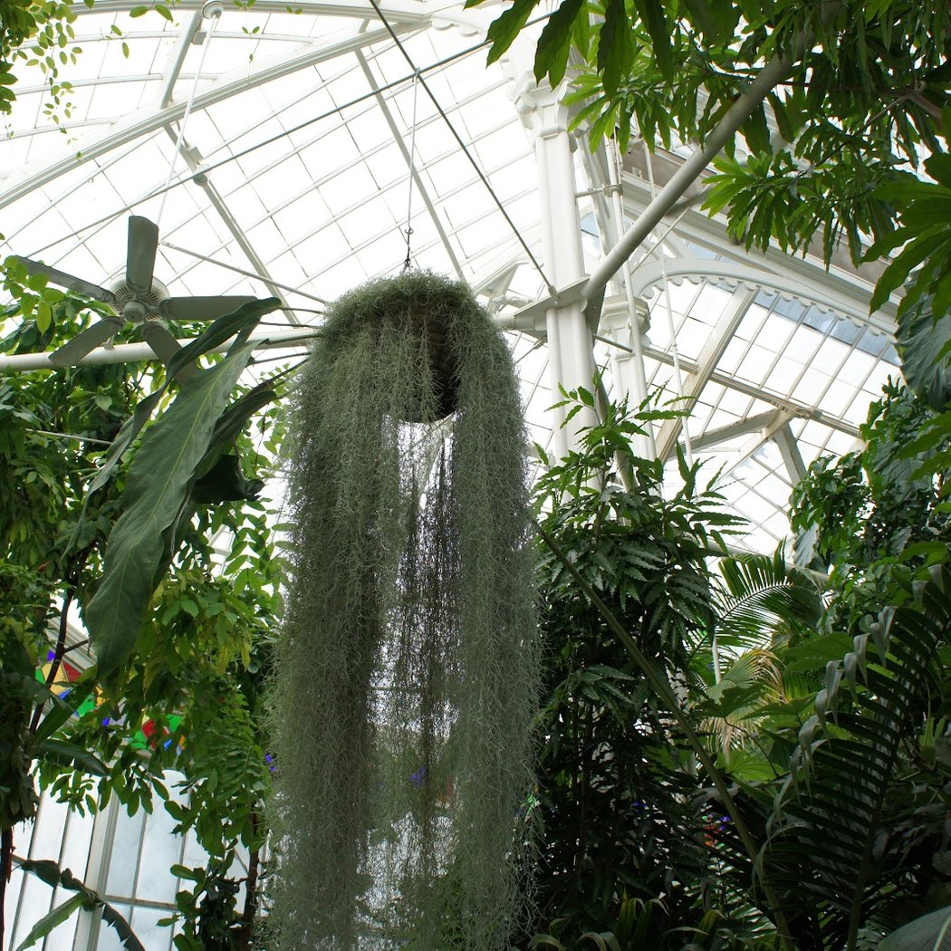 Free Museum Days 2
