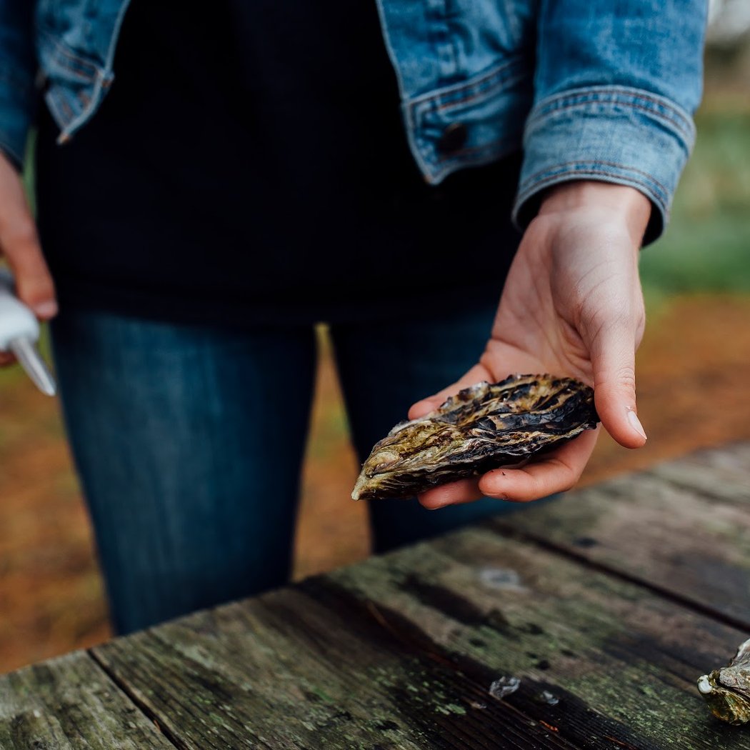 Point Reyes Oyster Company Inc 1