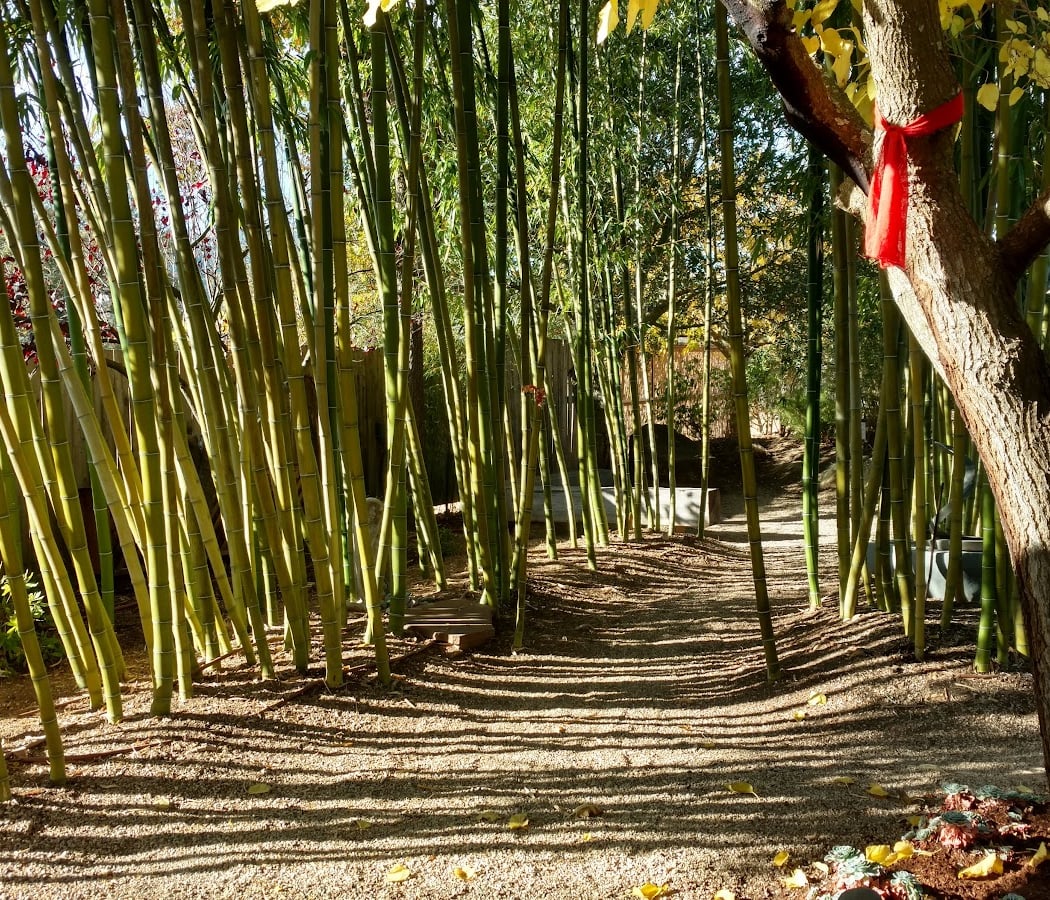 Sonoma Ashram 1