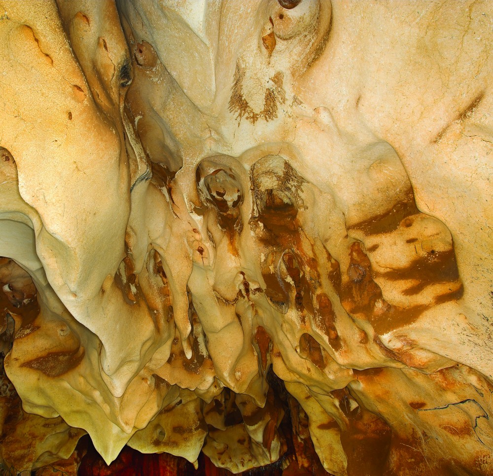 Grotte Chauvet, l’aventure scientifique 3
