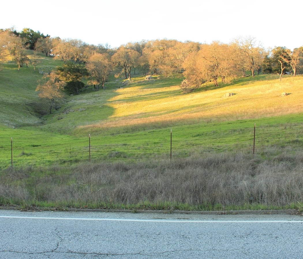 Little Uvas Open Space Preserve 3