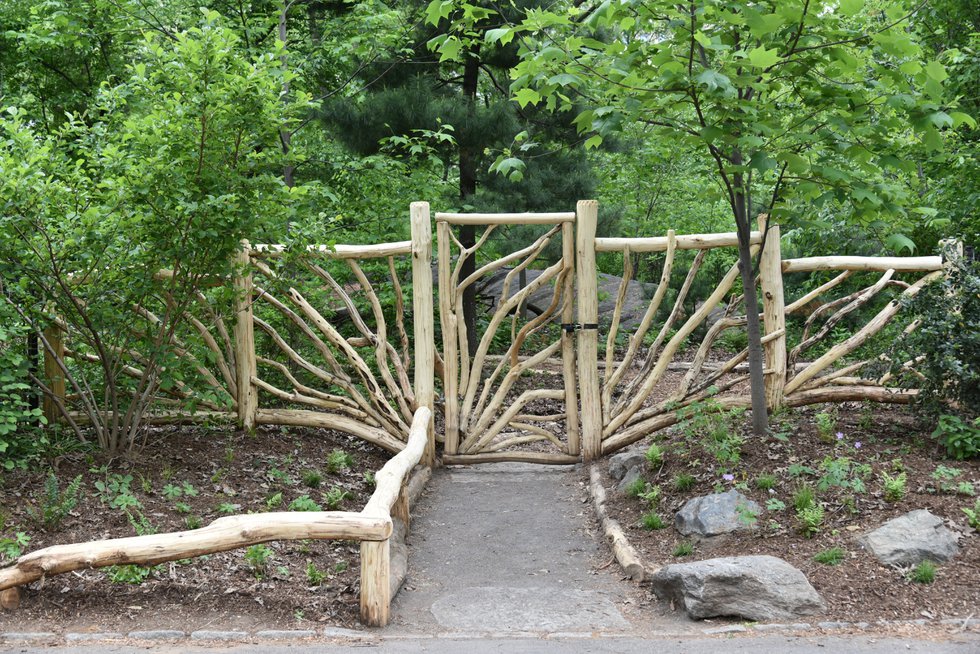 Hallett Nature Sanctuary 1