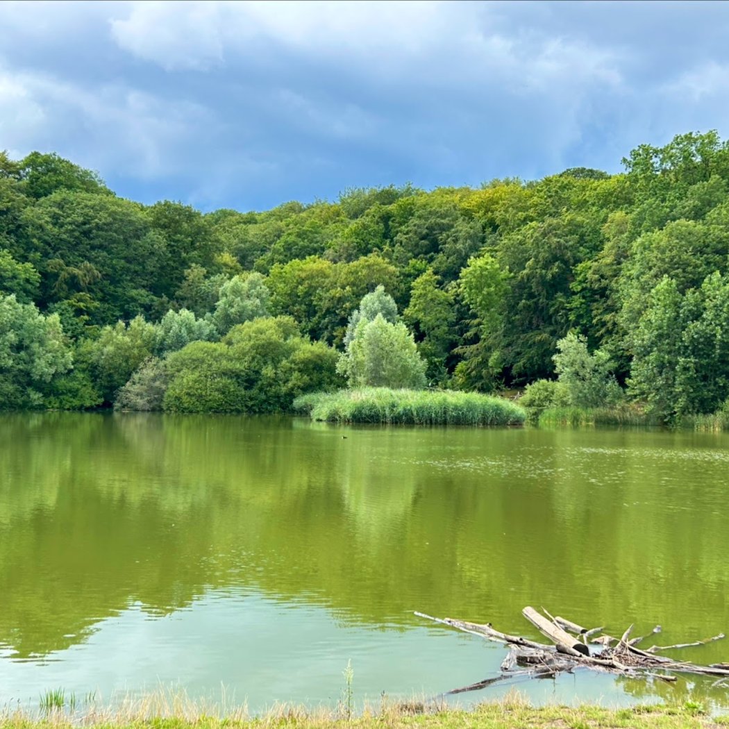 Pond of Meudon 2