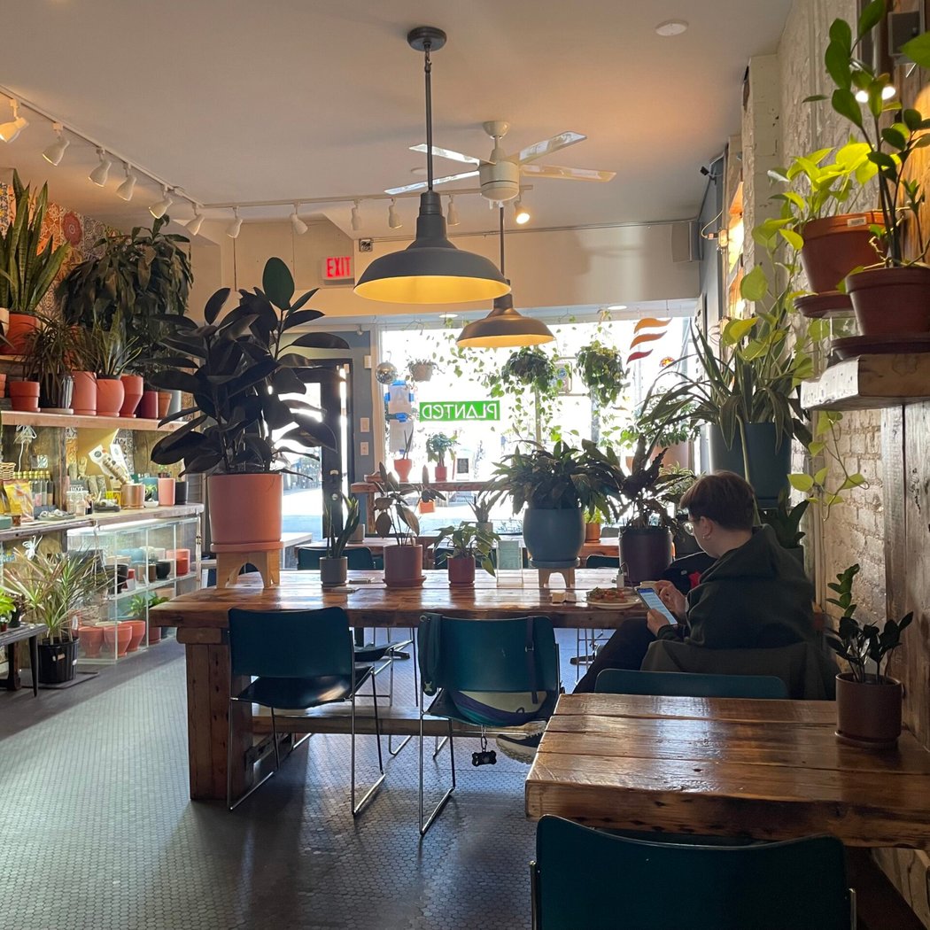 ​planted Cafe 2