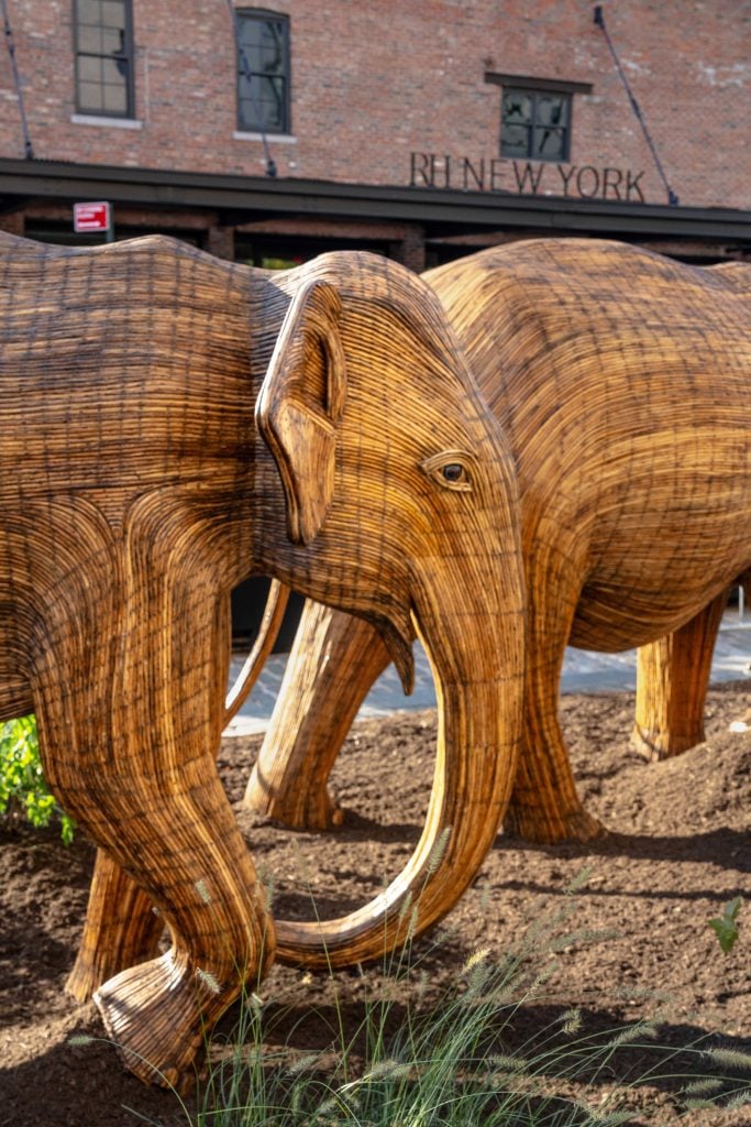 The Great Elephant Migration: A Coexistence Story 3