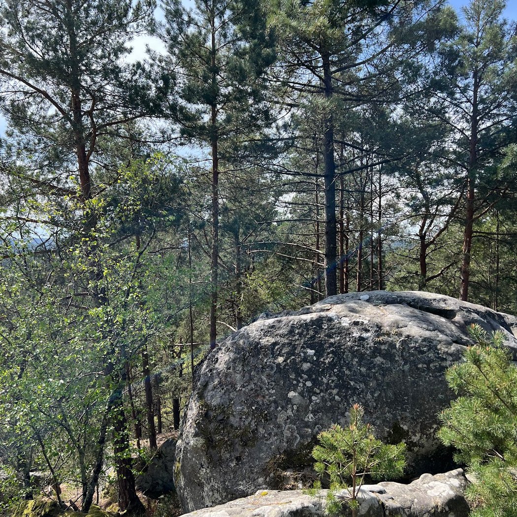 Panorama 2