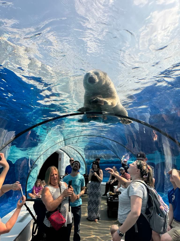 Zoo Tots: Animal Habitats 3