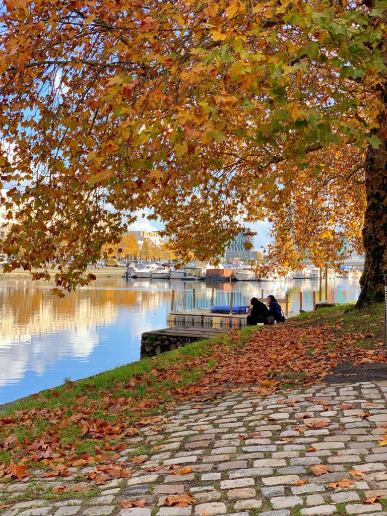 canal Saint-Félix 4