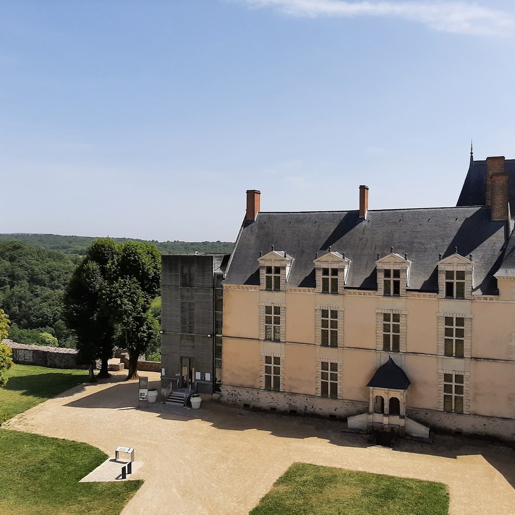 Château de Sainte-Suzanne à Sainte-Suzanne-et-Chammes 4