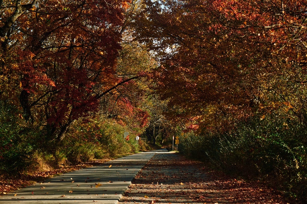 Autumn Discovery Hike 2