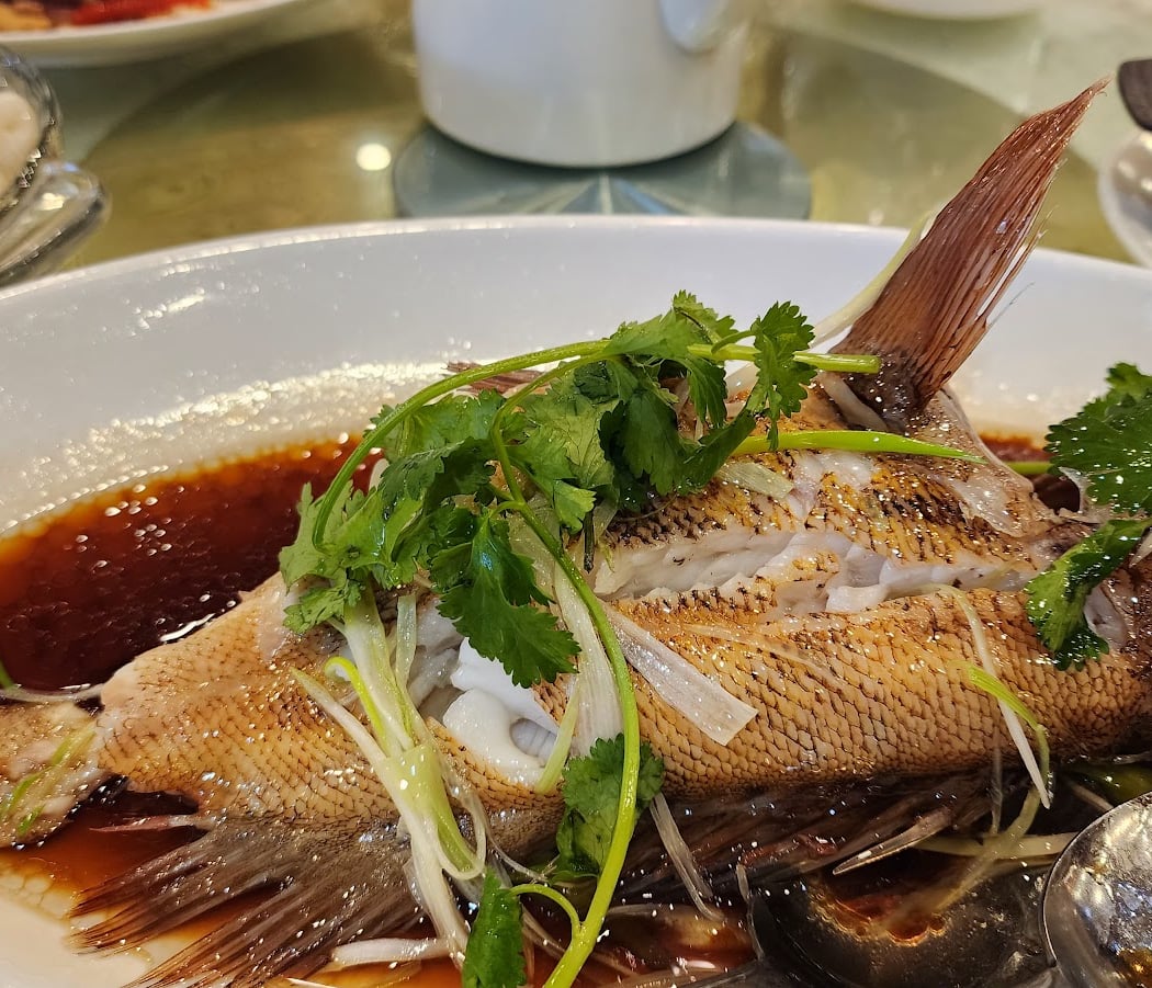 Harbor Bay Village Seafood-Chinese Food-Take Out 1