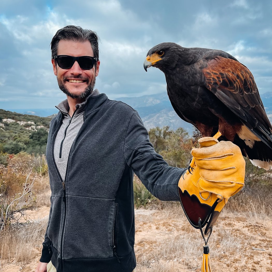 Sky Falconry 4