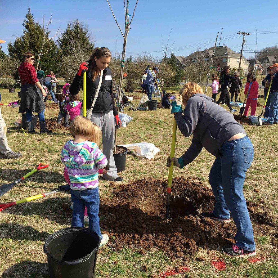 Vermillion HOA TreeDay 2