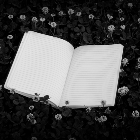 Nuit de la lecture 2