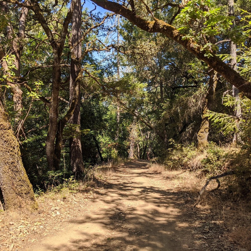 Grizzly Flat Trail 1