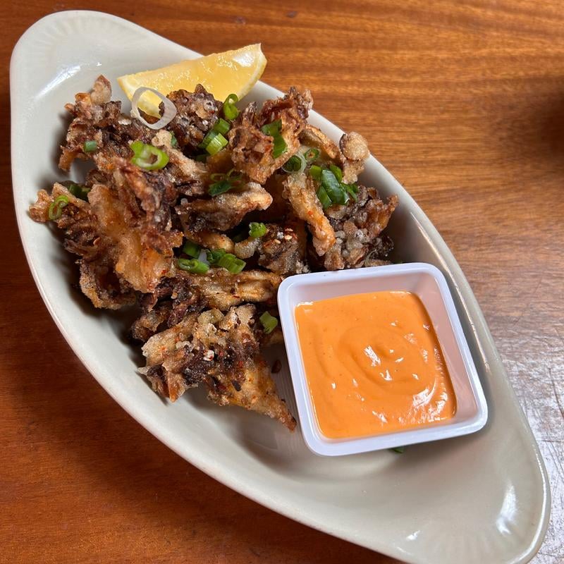 Insa Fried Wings with Beer + Karaoke 3