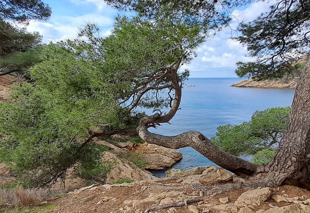Parking Sentier Bourgailles 1