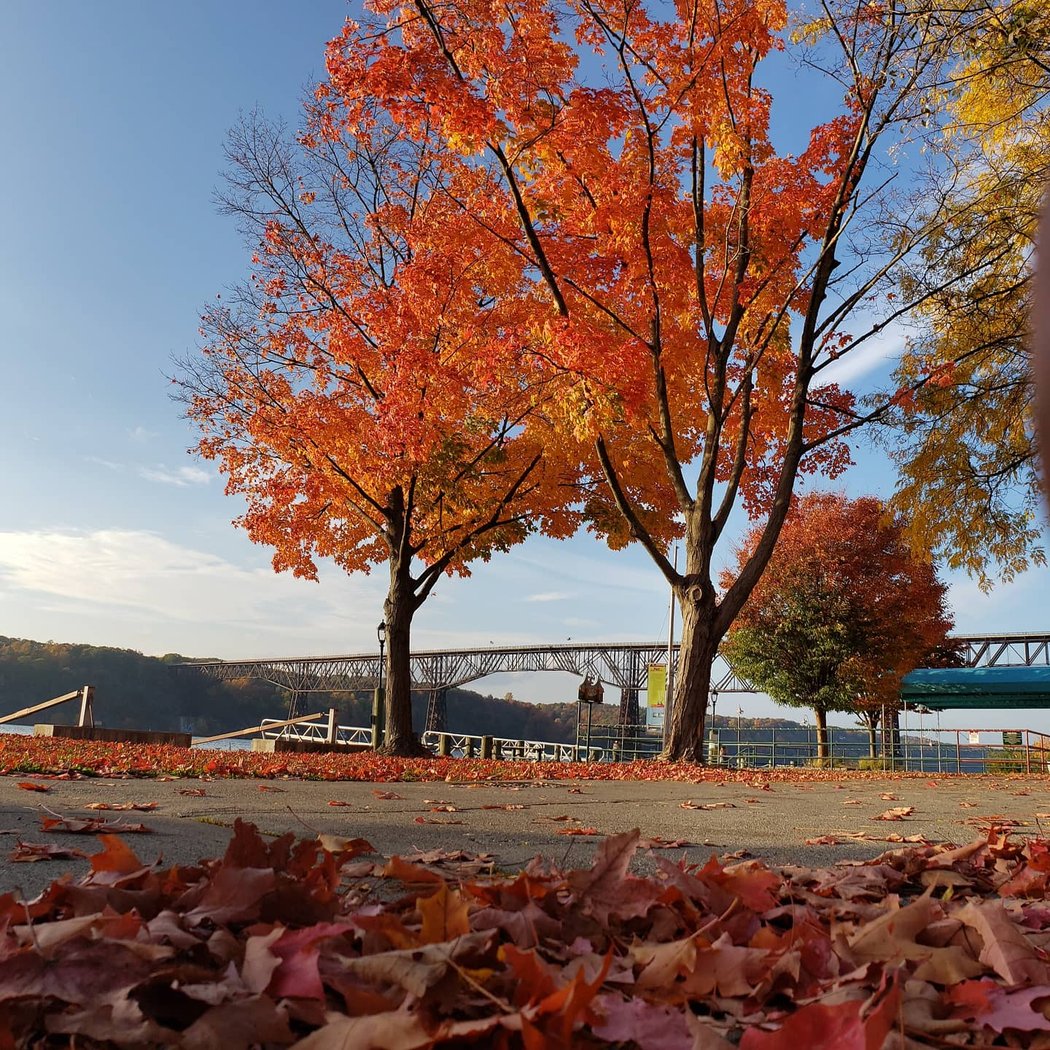 Dutchess County 1