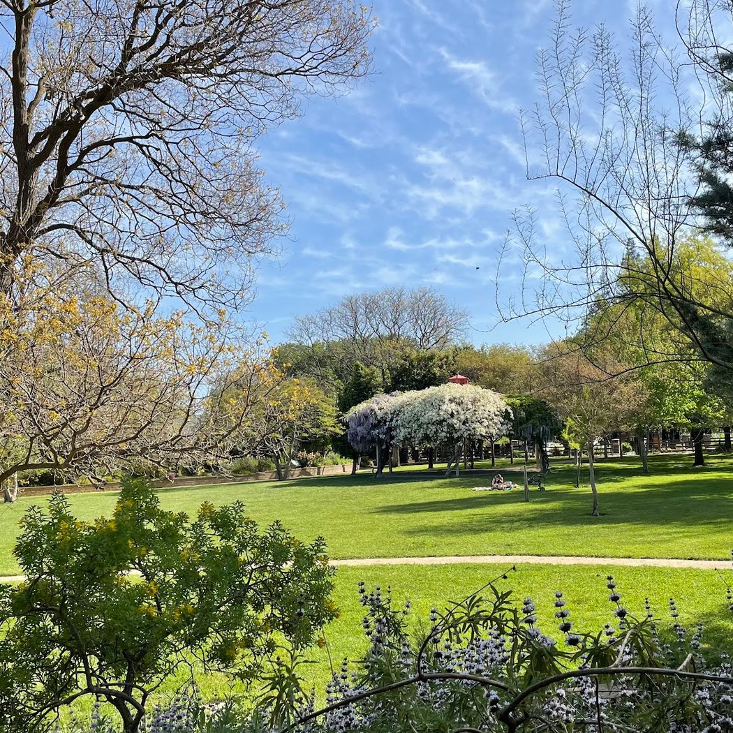 Markham Regional Arboretum 1