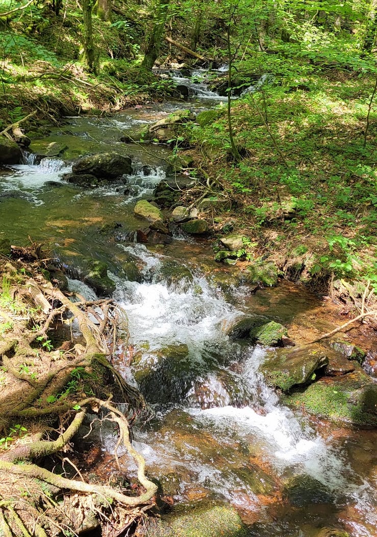 Saar-Hunsrück Nature Park 2