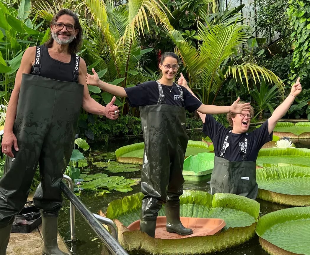 Waterlily House 3