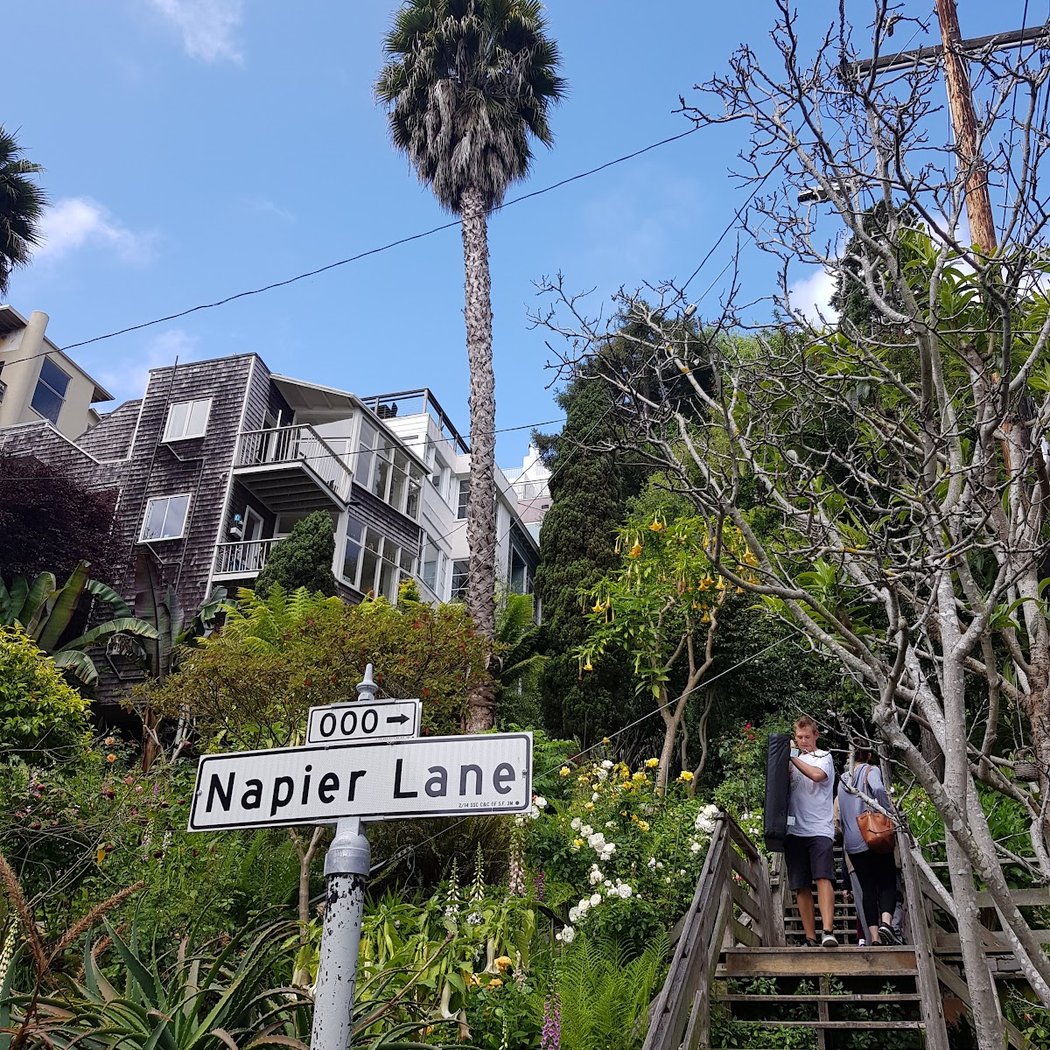 Napier Lane 2