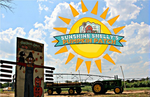 Sunshine Shelly's Pumpkin Patch 2