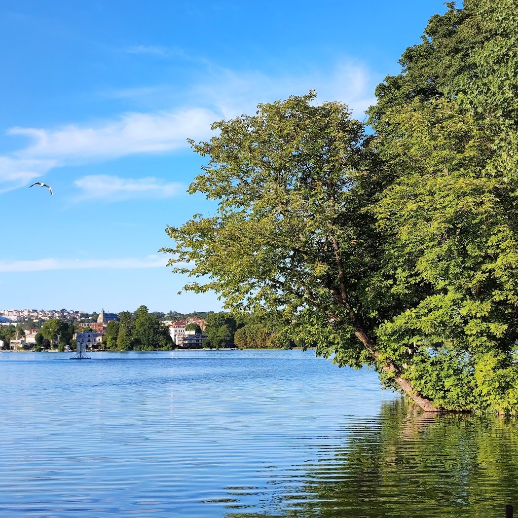 Parc des Otaries 2