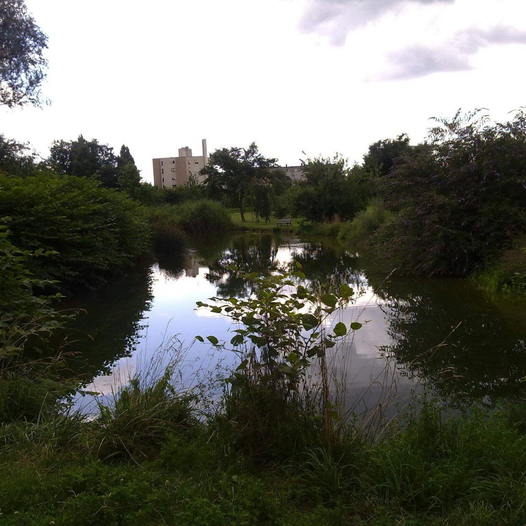 Bois de Bondy 2