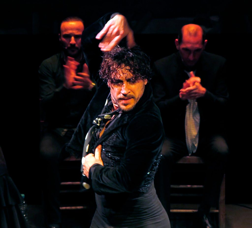 Auténtico espectáculo de flamenco 3