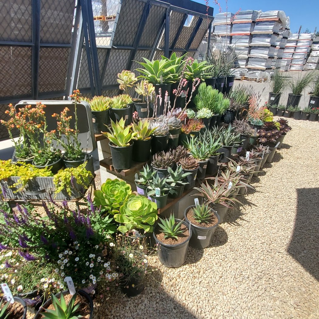 Evergreen Supply 1