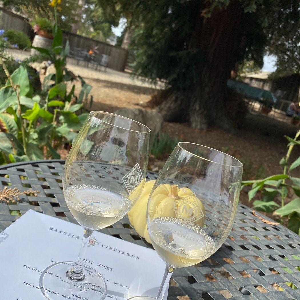 Mangels Vineyards 1
