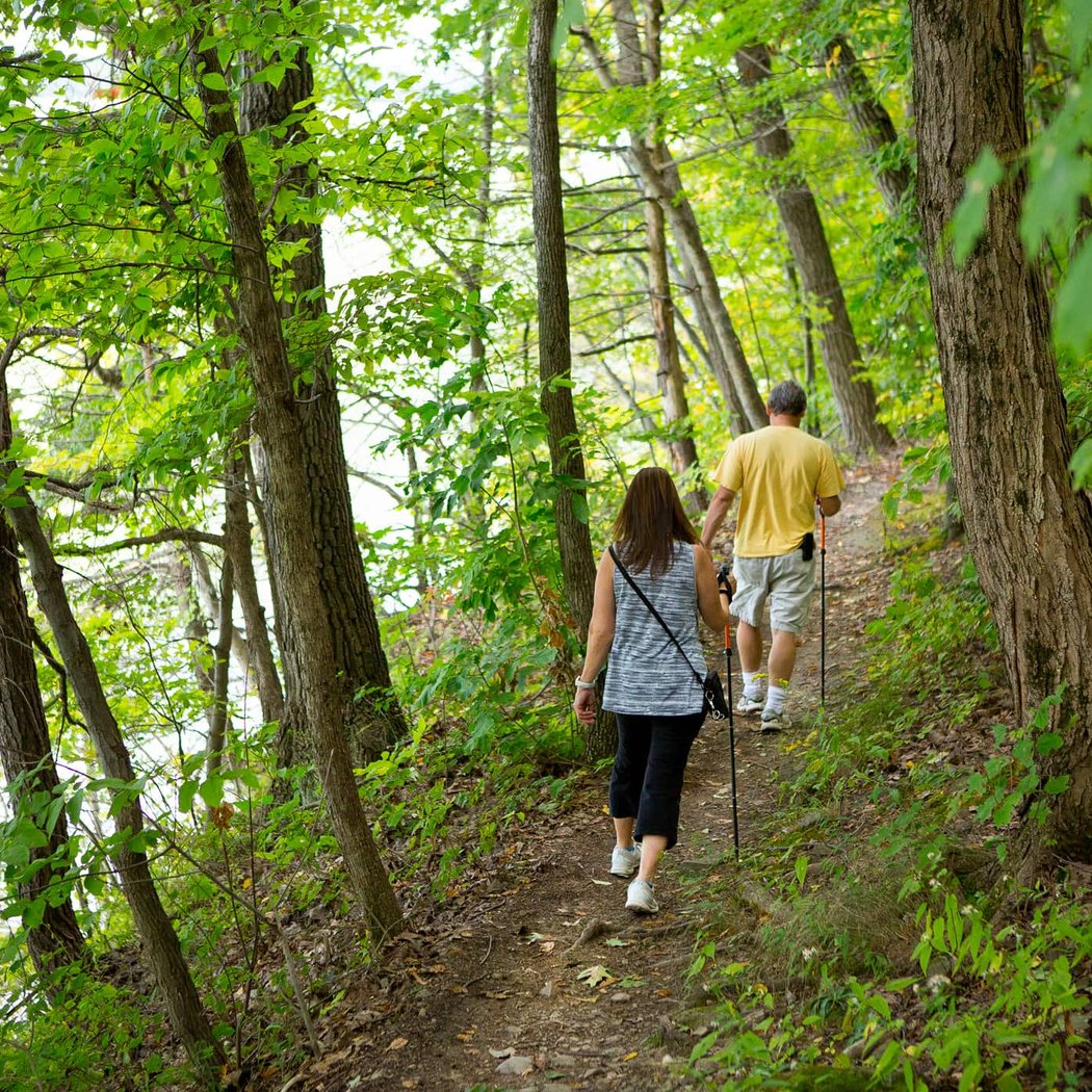 Falling Waters Preserve 2