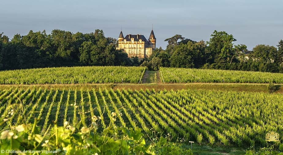 Château de Rayne-Vigneau 2